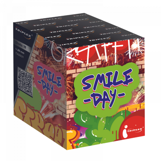 Obrazek 16 Strzałów Bateria Smile Day F2